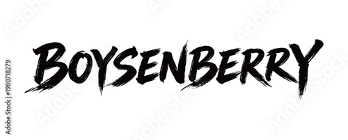 BOYSENBERRY Handwriting