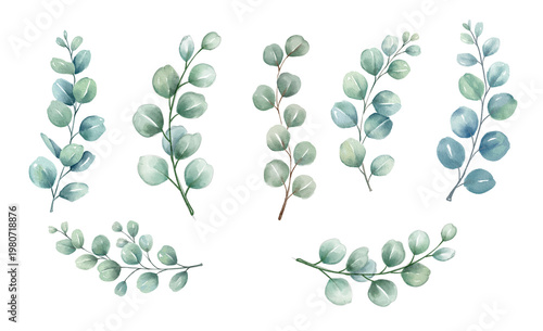 Watercolor leaves show simple green plant details in design