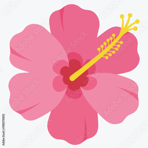 Vibrant Pink Hibiscus Flower for Nature and Floral Design Projects