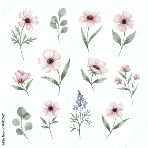 Beautiful Collection of Soft Pink and Purple Wildflowers for Nature and Floral Design