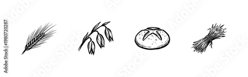 Wheat Stalks and Cereal Grain Ears with Hand-Drawn Inky Brush Strokes and Organic Calligraphic Flourishes