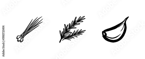 Culinary Herbs and Aromatic French Spices with Fluid Ink Brush Strokes and Hand-Drawn Painterly Style