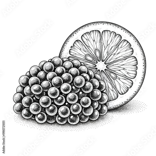 Fresh Citrus Fruit with Juicy Slice and Vibrant Berries in Black and White