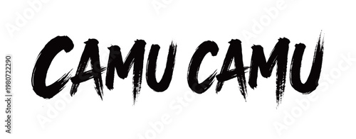 CAMU CAMU Handwriting