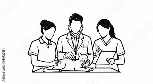 Veterinarian examines cat with two assistants taking notes