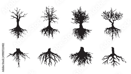 Diverse Tree Roots Collection: An artistic array of tree roots silhouettes, a tribute to nature's profound depth, resilience, and complex, intertwined foundation.