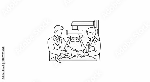 Two vets examine a cat using an x-ray machine