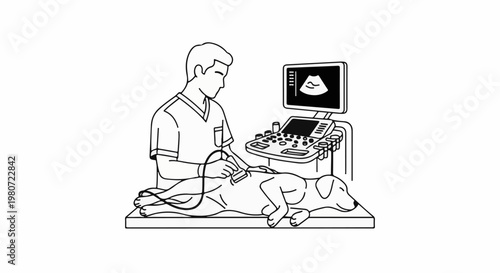 Veterinarian performs ultrasound on a dog lying on examination table