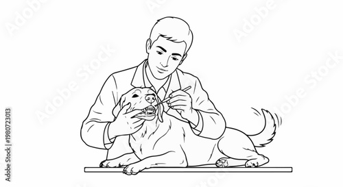 A veterinarian examines a dog's teeth with a tool on a clean white background