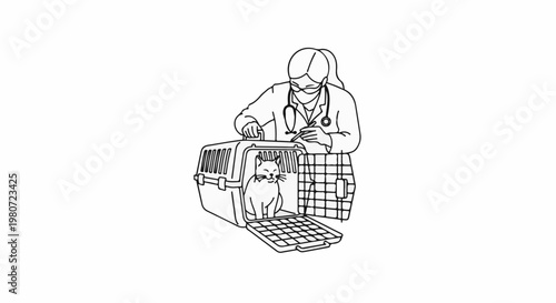 Veterinary check-up for a cat in a carrier, doctor examining it with a tool