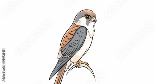 Stylized illustration of a small bird of prey perched on a thin branch