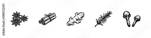 Culinary Spices and Aromatic Kitchen Herbs with Hand-Drawn Inky Brushwork and Organic Painterly Textures