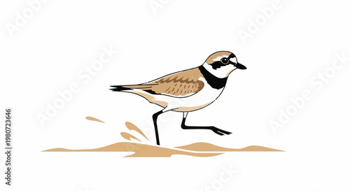 Stylized bird running through shallow water and sand