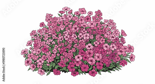A dense cluster of bright pink flowers with green leaves