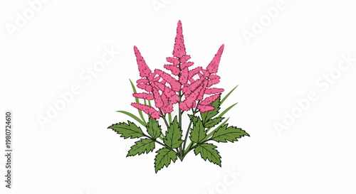 A cluster of delicate pink flowers with serrated green leaves