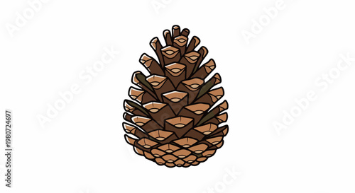 Brown pinecone with textured scales on a white background