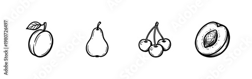 Stone Fruit and Orchard Harvest Elements including Plums and Apricots with Inky Brushwork and Hand-Drawn Painterly Style.