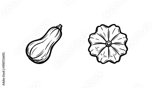 Decorative Pumpkins and Autumn Squash Varieties with Inky Brushwork and Hand-Drawn Calligraphic Lines in Rustic Harvest Aesthetic.