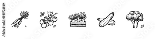 Farm Fresh Vegetables and Harvest Garden Produce in Hand-Drawn Inky Brushstroke Style