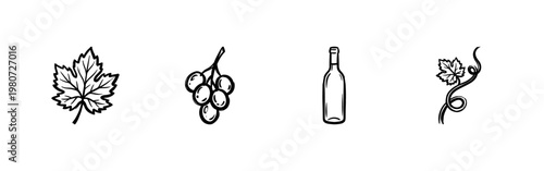 Grape Vineyards and Wine Harvest Elements with Hand-Drawn Inky Brushwork and Calligraphic Ink Strokes