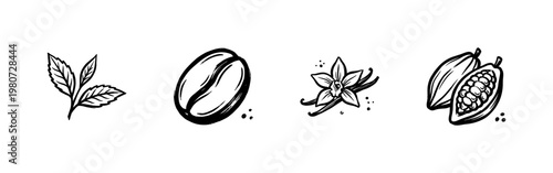 Coffee Cocoa and Vanilla Botanical Ingredients with Hand-Drawn Inky Brushwork and Detailed Hatching Textures