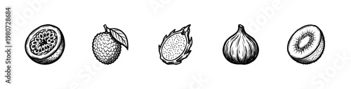 Tropical and Exotic Fruits Collection with Fluid Ink Brush Strokes and Hand-Drawn Painterly Style