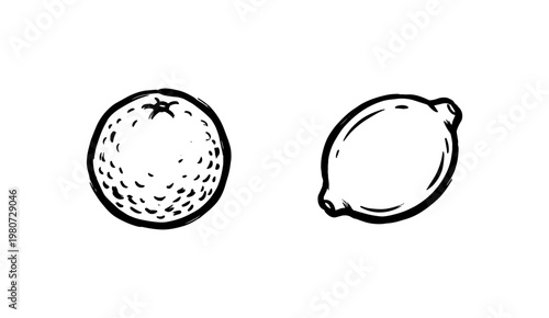 Fresh Orchard Fruit and Garden Berries with Hand-Drawn Inky Brushwork and Loose Painterly Calligraphic Strokes