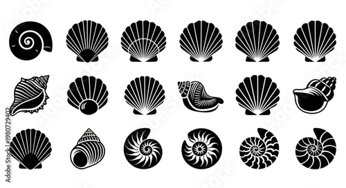 Collection of Black and White Seashell Icons and Silhouettes