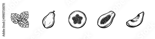 Tropical Papaya Fruit and Exotic Botanical Leaves with Gritty Hand-Drawn Ink Textures and Fluid Brush Strokes