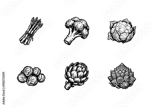 Healthy Green Vegetables and Edible Brassica Plants with Inky Hand-Drawn Brushwork and Organic Textures