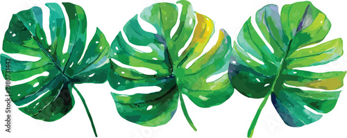 Four leaf clover illustration symbol of luck and Irish spring celebration in green nature vector design