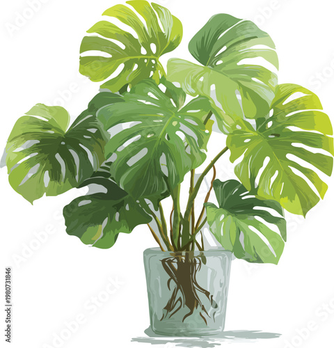 Green potted plant vector illustration isolated on white background with leaves herb basil foliage garden spring growth fresh nature botany theme