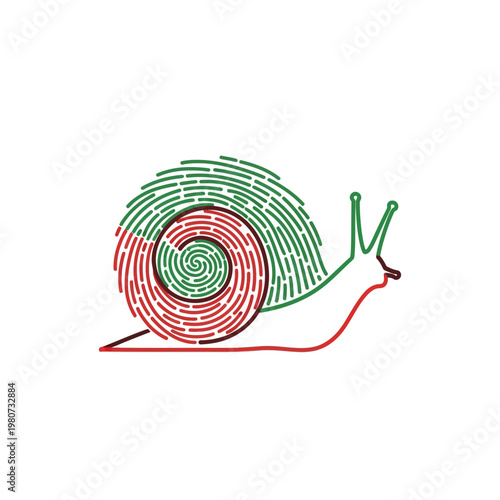 Colorful Snail Shell Close Up.