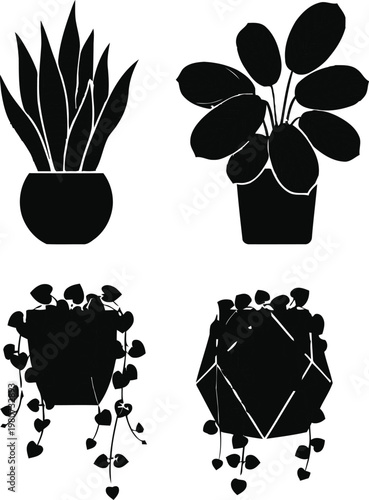 Four distinct potted plants with varied foliage and hanging leaves isolated on white background, Vector