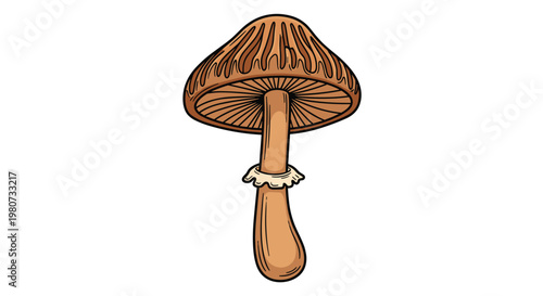 Brown mushroom with a tall stem and a wide gilled cap is illustrated with detailed linework on a plain field.