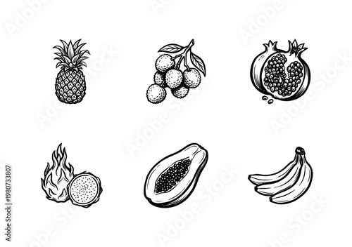 Tropical and Exotic Fruits Collection with Hand-Drawn Inky Brushwork and Fluid Painterly Outlines