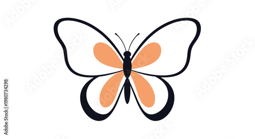 Symmetrical butterfly illustration with delicate black outlines and vibrant orange patches on its wings isolated on a white background for art.
