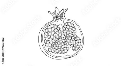 Black and white line drawing of a halved pomegranate showing detailed seeds and textured skin on a plain white background.