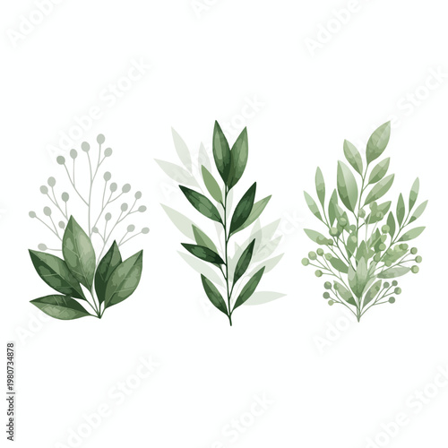 Elegant Watercolor Green Plant Illustrations for Nature Themed Design