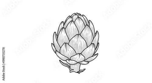 Intricate black and white engraving style illustration of a whole artichoke vegetable showing detailed leaf textures and scales.