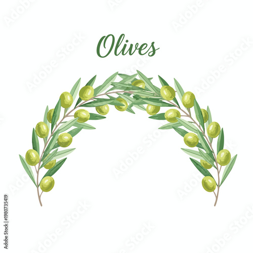 Fresh Green Olive Branch with Unripe Olives for Healthy Cooking and Gourmet Recipes