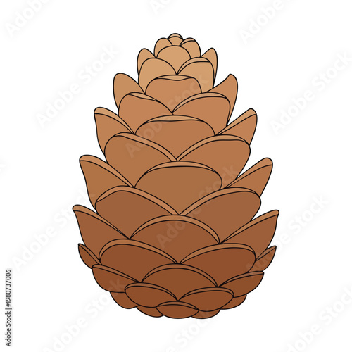 Close up of a Beautiful Pine Cone on a White Background for Nature and Wildlife Themes