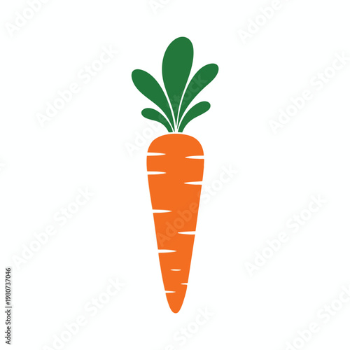 Fresh Organic Carrot with Green Leaves on White Background