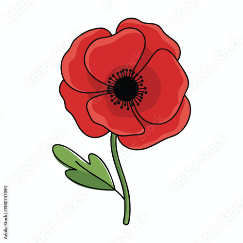 Elegant Red Poppy Flower with Green Leaf on White Background