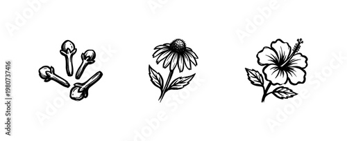 Botanical Tea Herbs and Culinary Spices with Inky Brushwork and Hand-Drawn Calligraphic Details for Organic Wellness Product Design