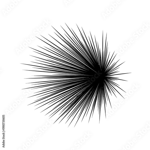 Black spiky object with long needles.