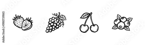 Sweet Summer Berries and Garden Fruits with Fluid Ink Brush Strokes and Hand-Drawn Painterly Style