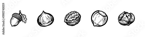 Autumn Chestnuts and Forest Tree Nuts with Inky Brush Strokes and Hand-Drawn Painterly Aesthetic