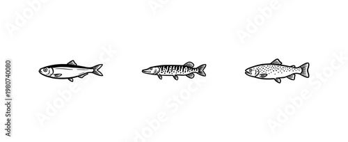 River and Sea Fish Species Set with Hand-Drawn Inky Brush Strokes and Detailed Hatching Textures