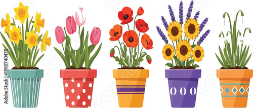 Colorful potted flowers arranged in a vibrant floral display Vector